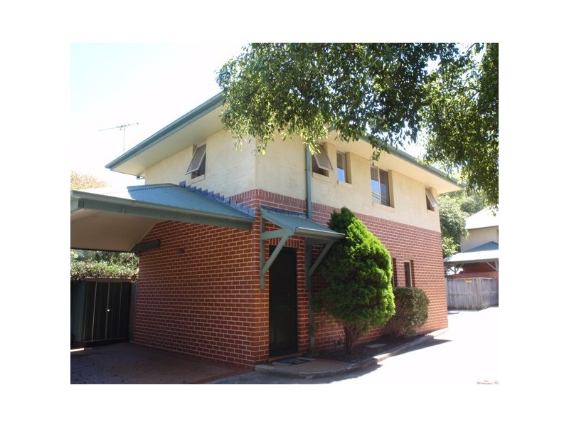 Unit 3/78 Old Pittwater Road, Brookvale NSW 2100