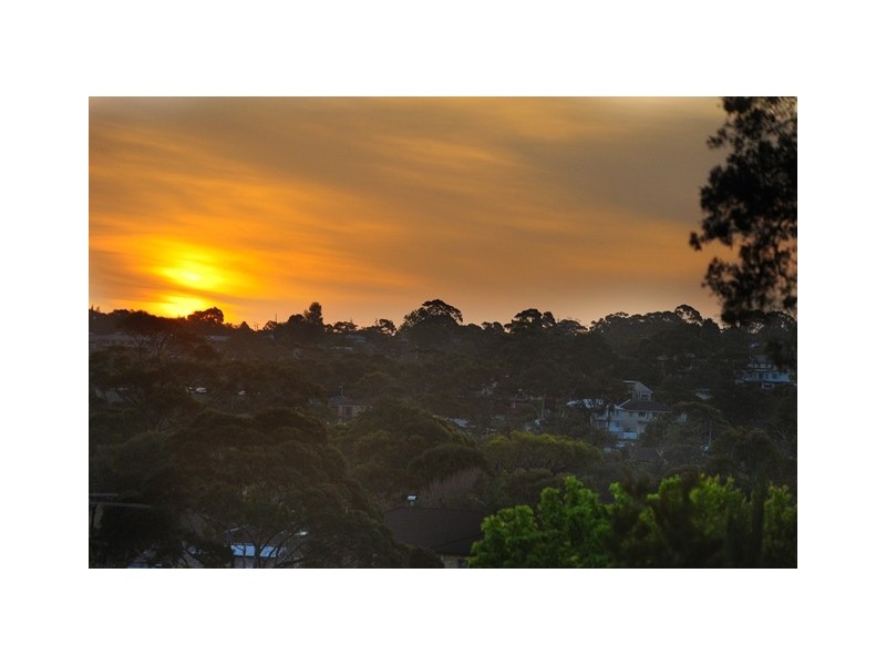 67 Beacon Hill Road, Beacon Hill NSW 2100