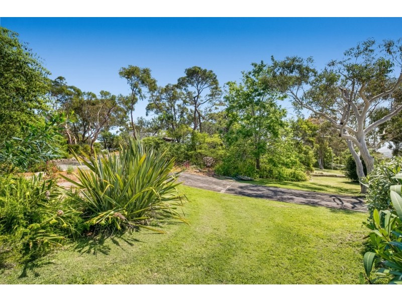 158 Elanora Road, Elanora Heights NSW 2101