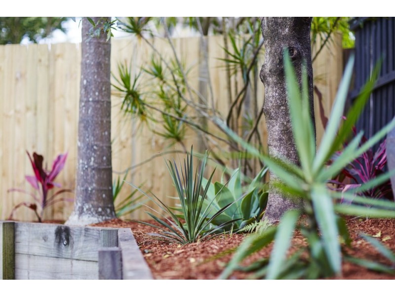 12 Alto Avenue, Seaforth NSW 2092