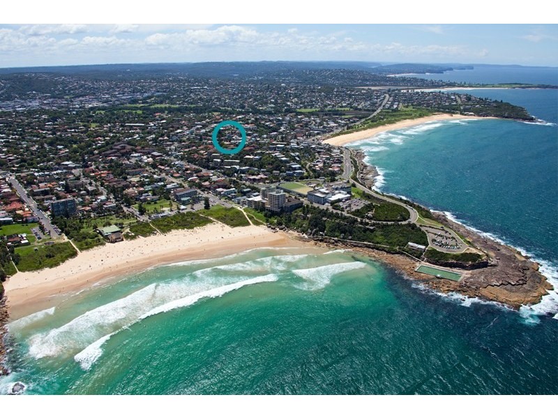 1/29 Wyndora Avenue, Freshwater NSW 2096