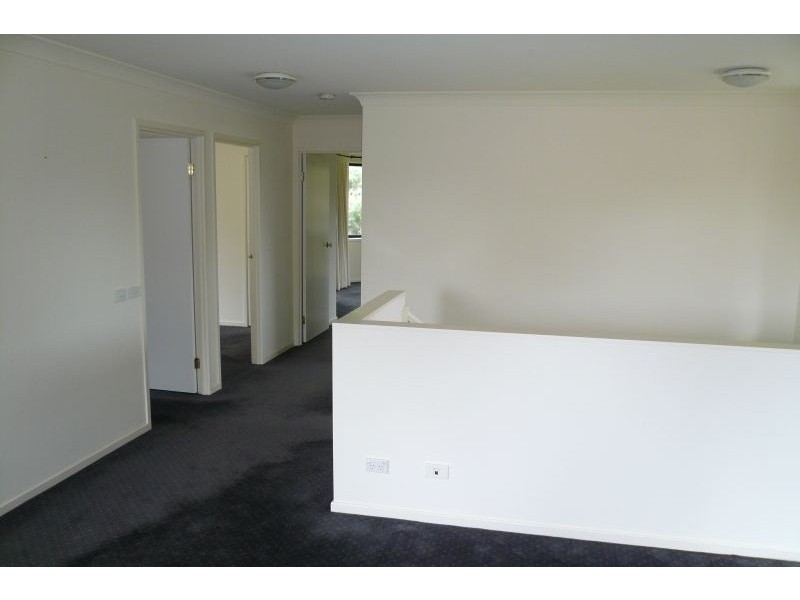 17a Brighton Street, Balgowlah NSW 2093