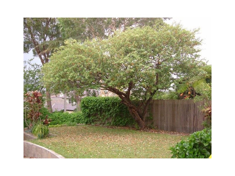 132b Woodland Street, Balgowlah NSW 2093