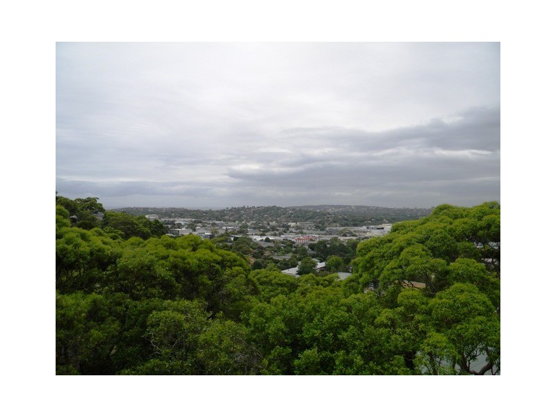 8 Marshall Crescent, Beacon Hill NSW 2100