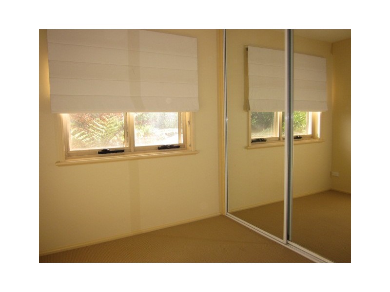 23A Farnell Street, Curl Curl NSW 2096