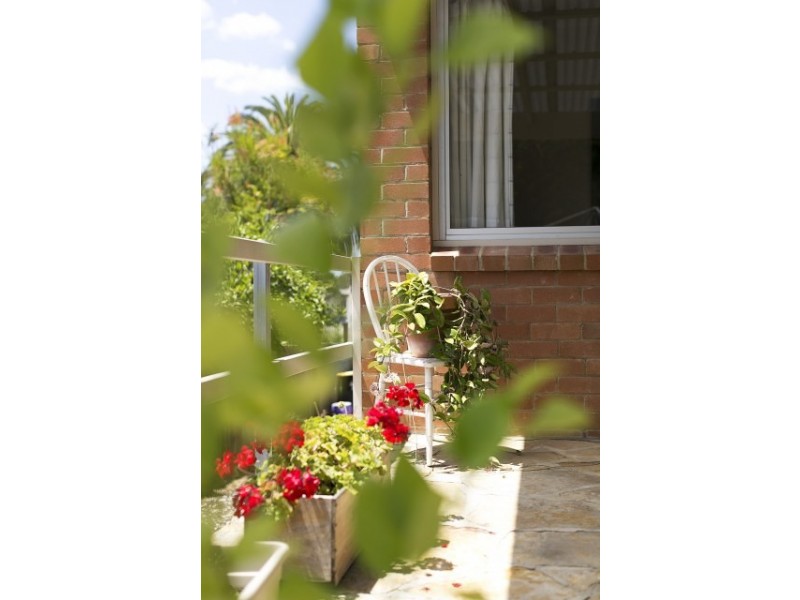 3 Waratah Street, Balgowlah NSW 2093