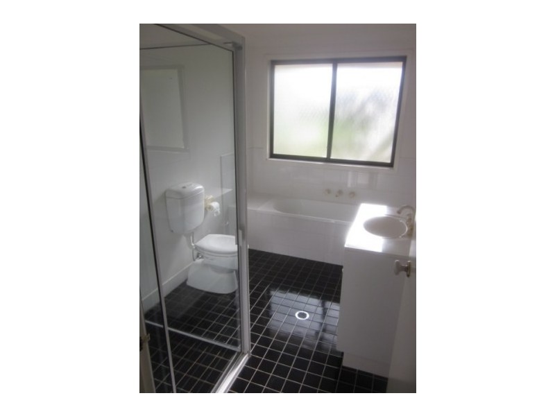 17a Brighton Street, Balgowlah NSW 2093