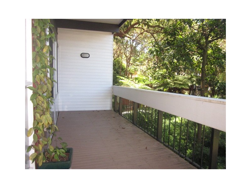 41 Ryan Place, Beacon Hill NSW 2100