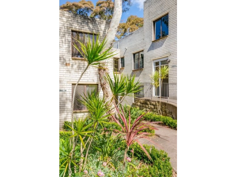 6/26 Rowe Street, Freshwater NSW 2096