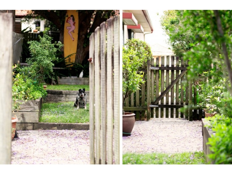 29 Wattle Avenue, Fairlight NSW 2094