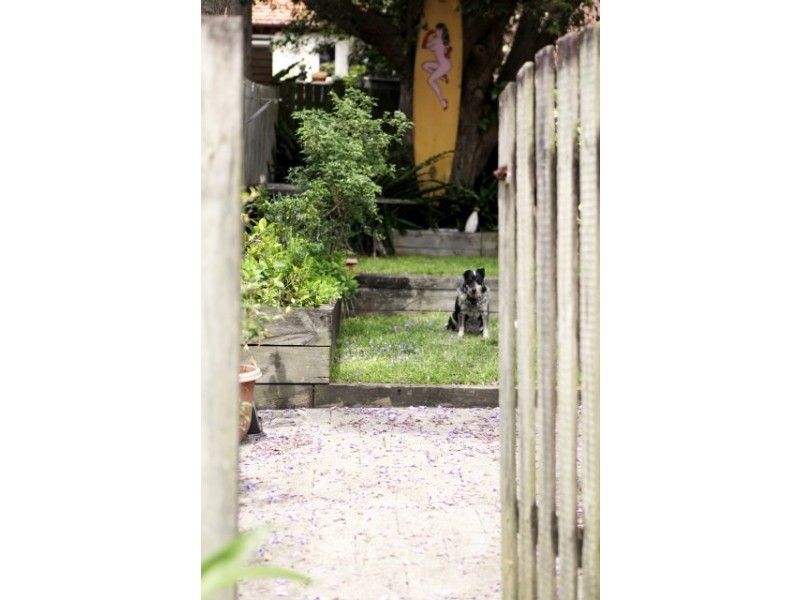 29 Wattle Avenue, Fairlight NSW 2094