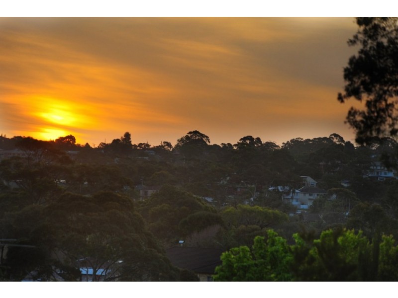 67 Beacon Hill Road, Beacon Hill NSW 2100