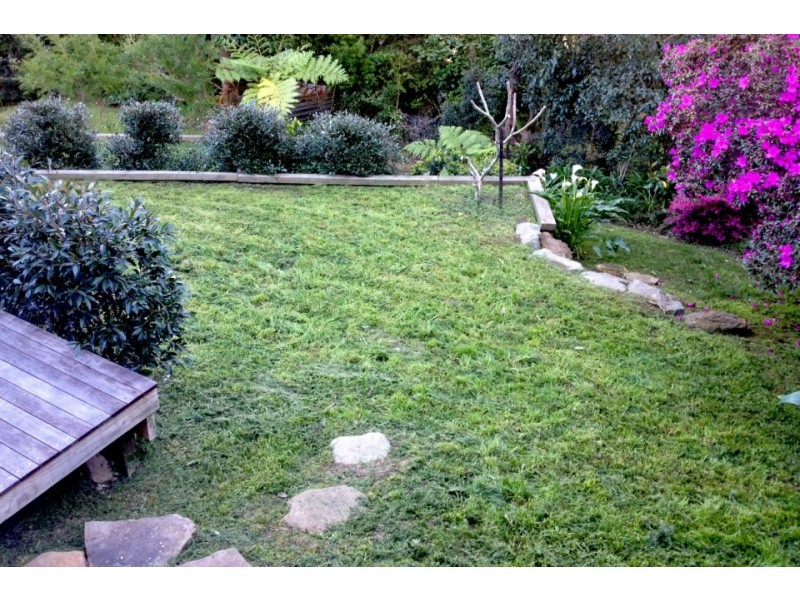 171B Barrenjoey Road, Newport NSW 2106