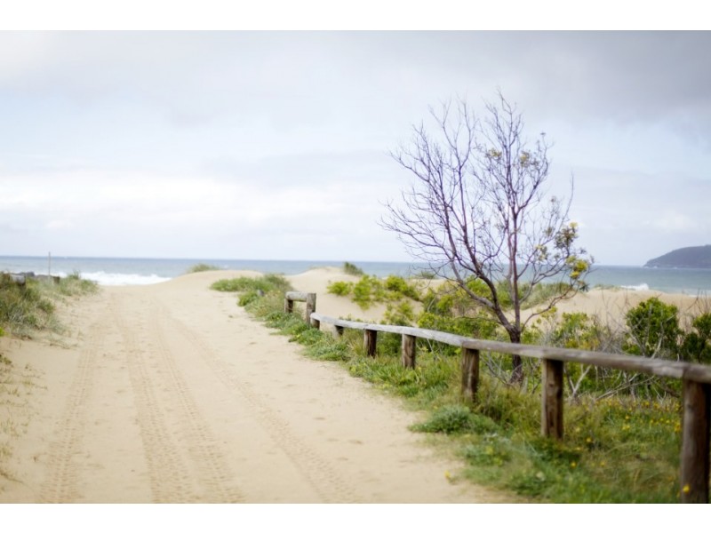 16/15 Kooloora Avenue, Freshwater NSW 2096