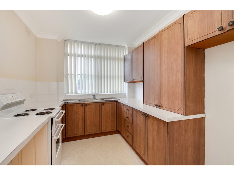 13/89 Oaks Avenue, Dee Why NSW 2099