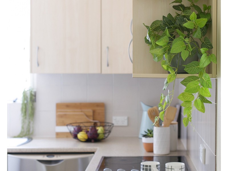 15/1 Lovett Street, Manly Vale NSW 2093