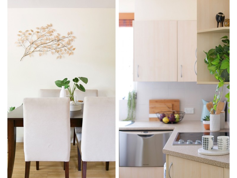 15/1 Lovett Street, Manly Vale NSW 2093