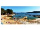 2/51-53 The Crescent, Manly NSW 2095