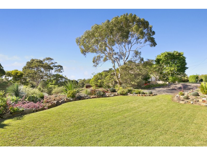 17 Eltham Street, Beacon Hill NSW 2100