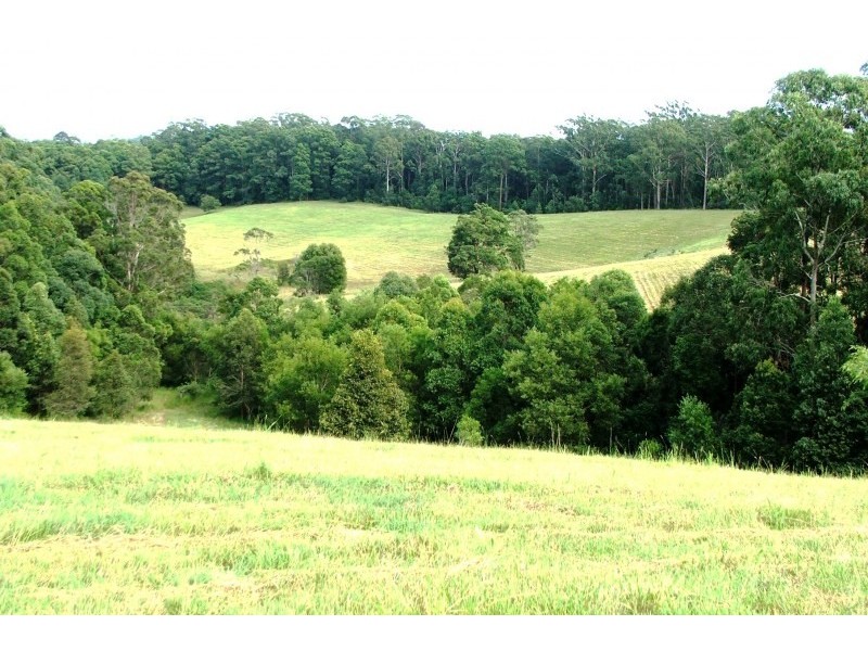 7 Gordons Knob Road, Newee Creek NSW 2447