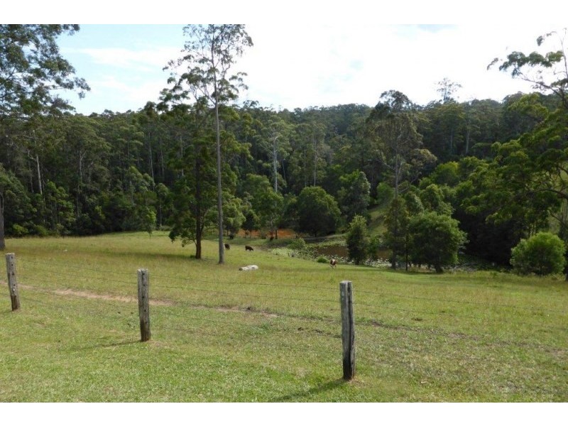 7 Gordons Knob Road, Newee Creek NSW 2447