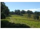 7 Gordons Knob Road, Newee Creek NSW 2447