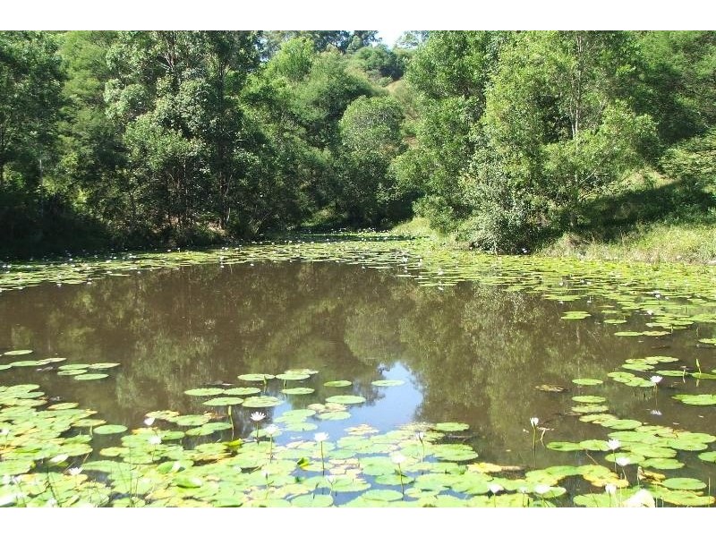 7 Gordons Knob Road, Newee Creek NSW 2447