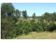 7 Gordons Knob Road, Newee Creek NSW 2447