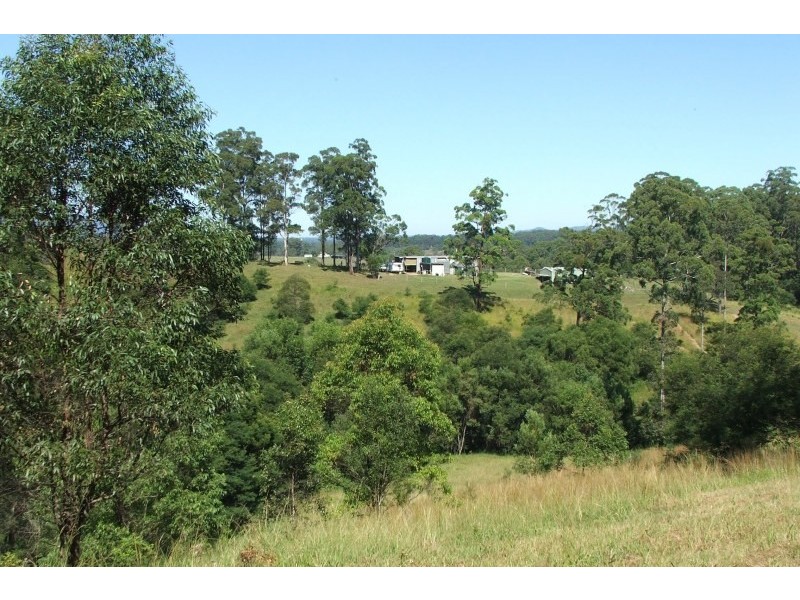 7 Gordons Knob Road, Newee Creek NSW 2447