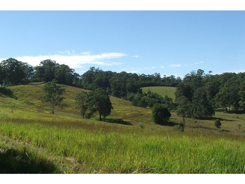 7 Gordons Knob Road, Newee Creek NSW 2447