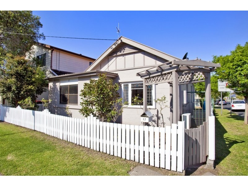 17 Alfred Street, Waratah NSW 2298