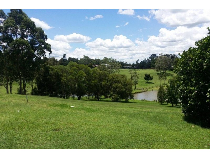 31 Maitland Road, Bolwarra NSW 2320