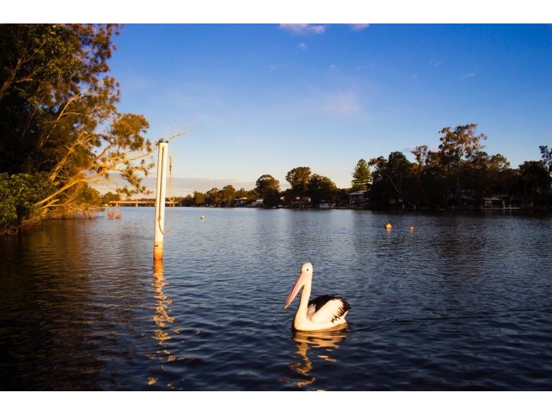 27 Newport Road, Dora Creek NSW 2264