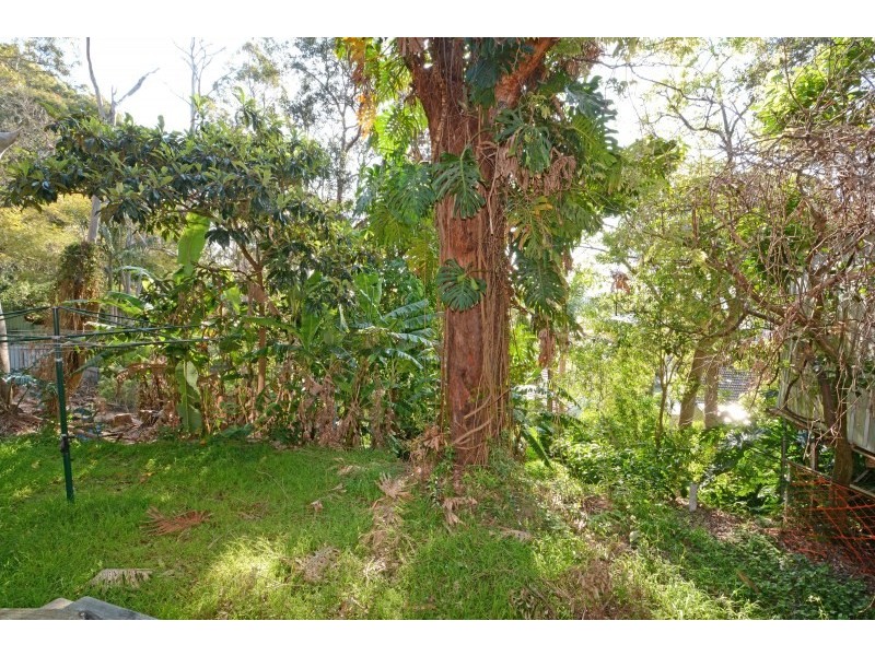 52 Garden Grove Parade, Adamstown Heights NSW 2289