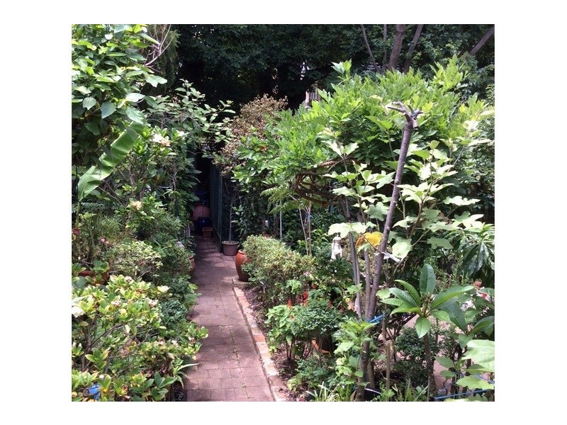 20 Anglesea Street, Bondi NSW 2026