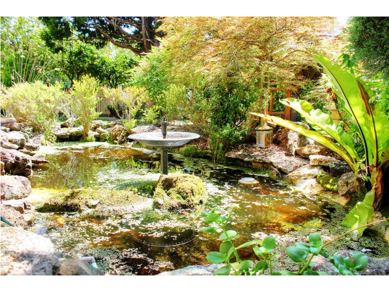 39 Avondale Road, Cooranbong NSW 2265