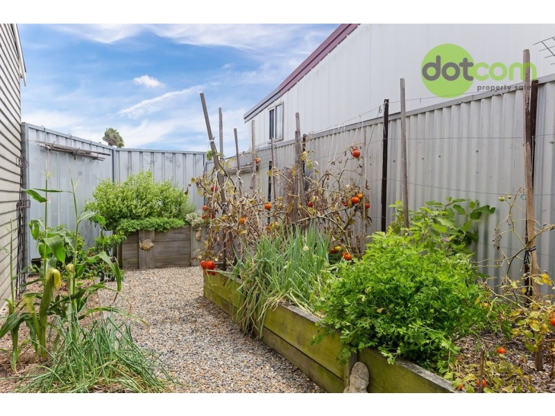 55 Illalung Road, Lambton NSW 2299