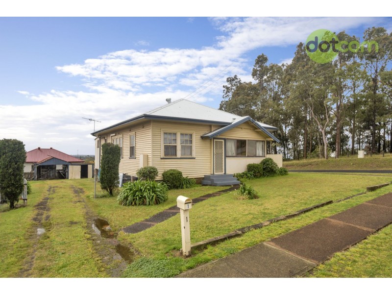 1 Gregson Avenue, Mayfield NSW 2304