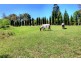 119 Newport Road, Dora Creek NSW 2264