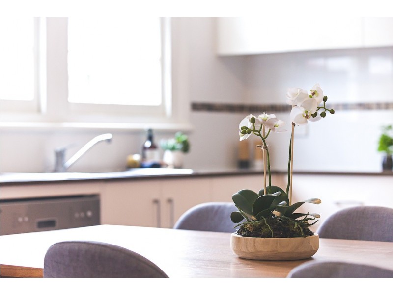 218 Christo Road, Waratah West NSW 2298