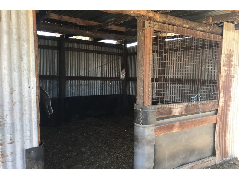 17 Yalcogran Street, Mendooran NSW 2842