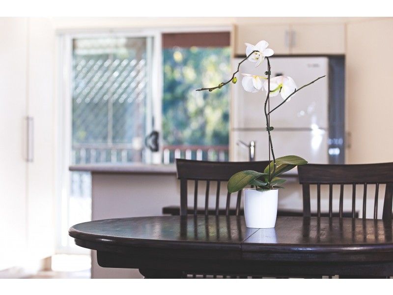 114 Woodstock Street, Mayfield NSW 2304