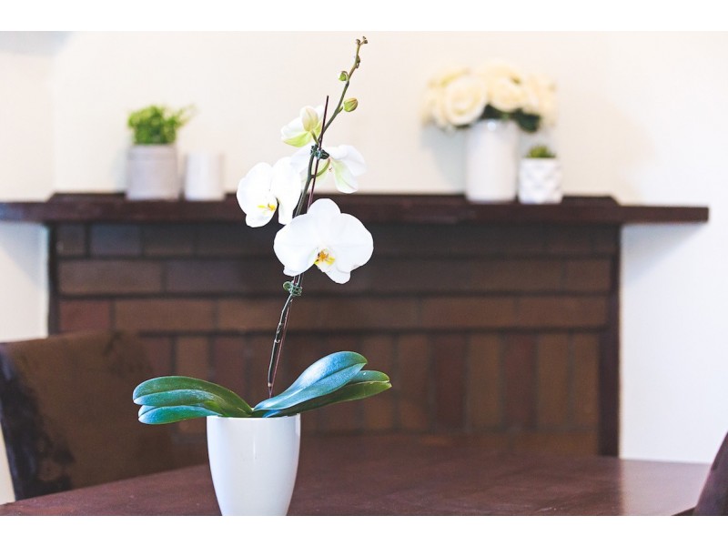 18 Baker Street, Mayfield NSW 2304