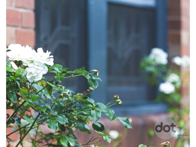 11 Delando Street, Waratah NSW 2298