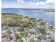 1 Ellis Close, Coal Point NSW 2283