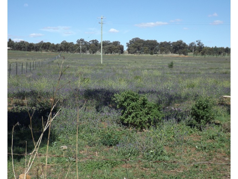 42R Whitewood Road, Dubbo NSW 2830