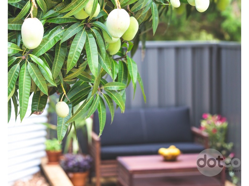 26 Bernice Crescent, Waratah West NSW 2298