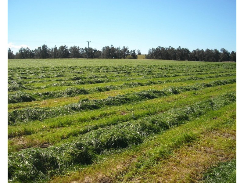 1605 Sextonville Road, Casino NSW 2470