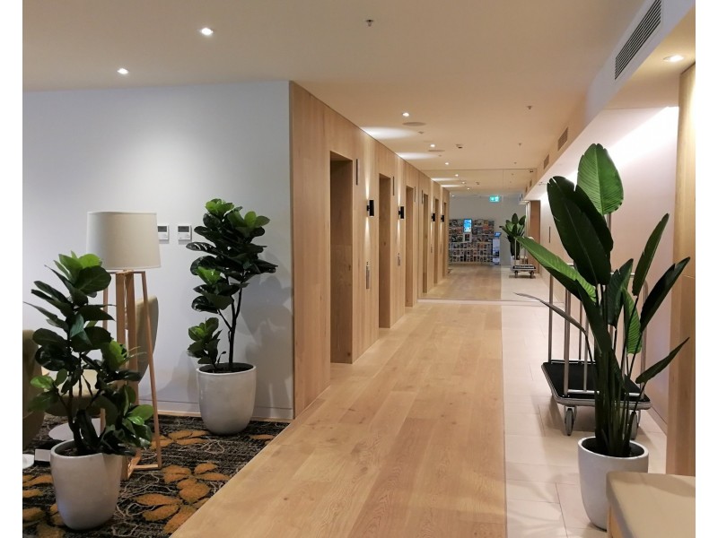 2303/2663 Gold Coast Highway, Broadbeach QLD 4218