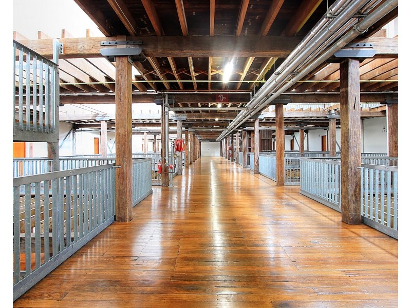 211/14 Milford Street, Islington NSW 2296